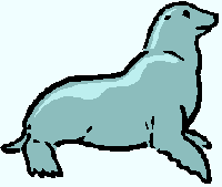 phoque