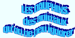 titre dauphins